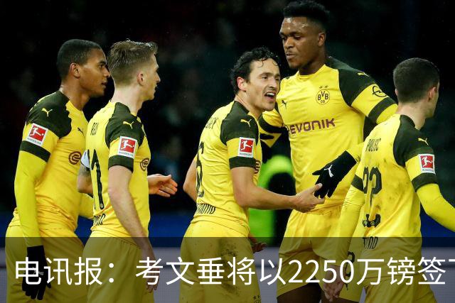 电讯报：考文垂将以2250万镑签下布莱顿门将拉什沃斯，创队史纪录